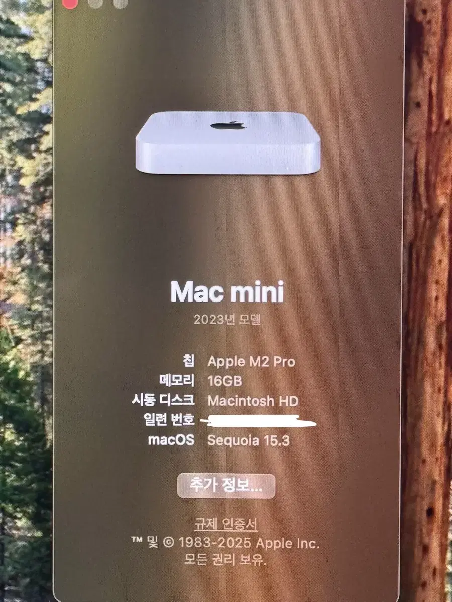 맥미니 M2 Pro 16GB 1tb 팝니다 (애케플)